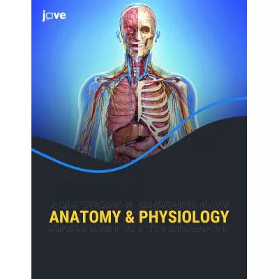 Anatomy and Physiology